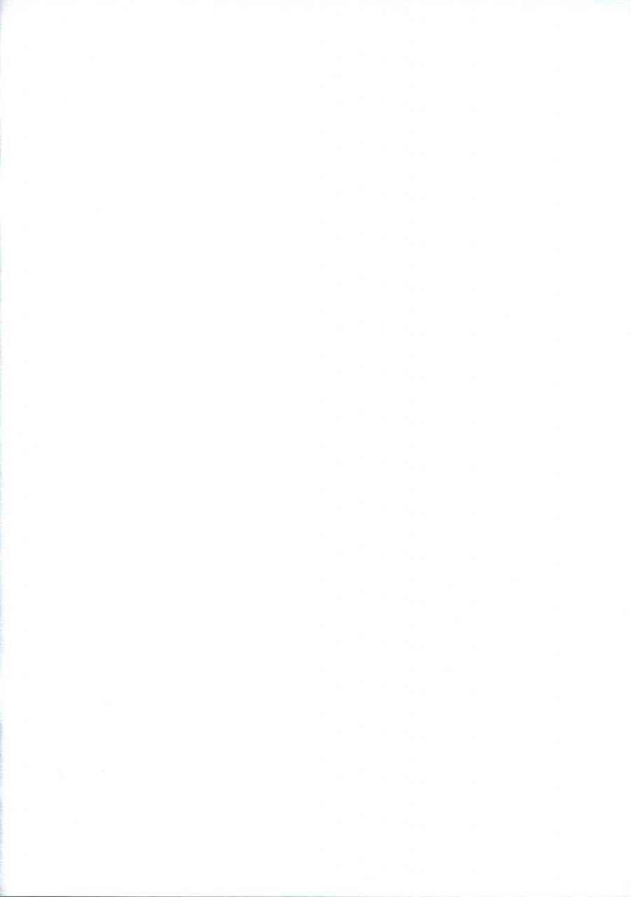 chiriakuta-touhou-shoujo-saiin-ex-touhou-english-lwb