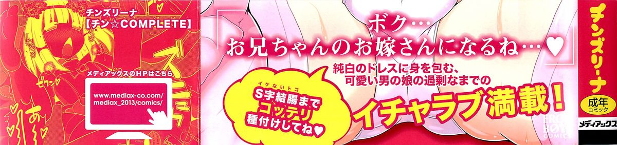 chinzurena-chincomplete-english-mysterymeat3