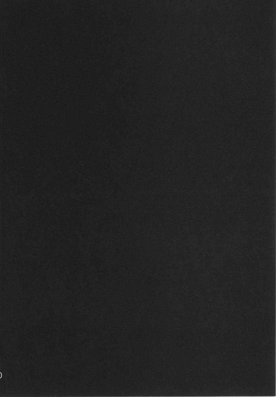 commanding-eagle-washizuka-sho-lillie-chan-no-h-na-nichijou-pokemon-sun-and-moon-english-perceptivepercival-digital