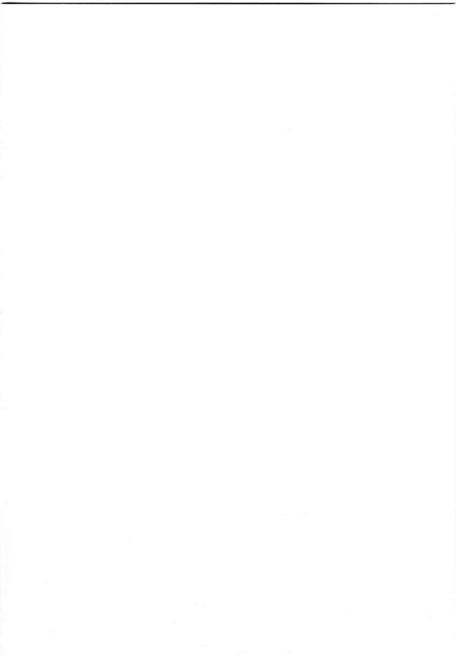 crimson-carmine-sefiria-kiwami-sephirias-limit-black-cat-english-maiteya2kusanyagi