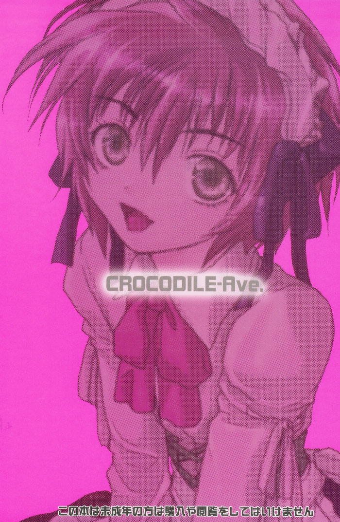 crocodile-ave-murakami-maki-megamix-gravitation-kumagorou-gravitation-english-liquid-passion