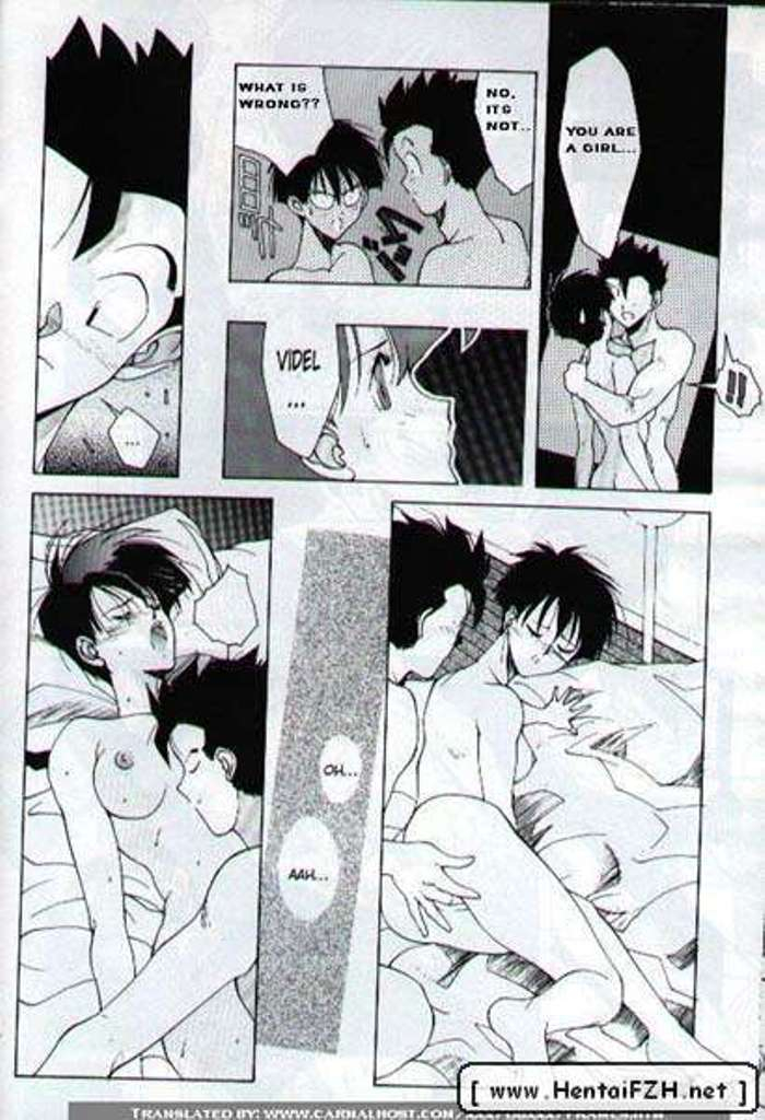 dbz-carpe-diem-english