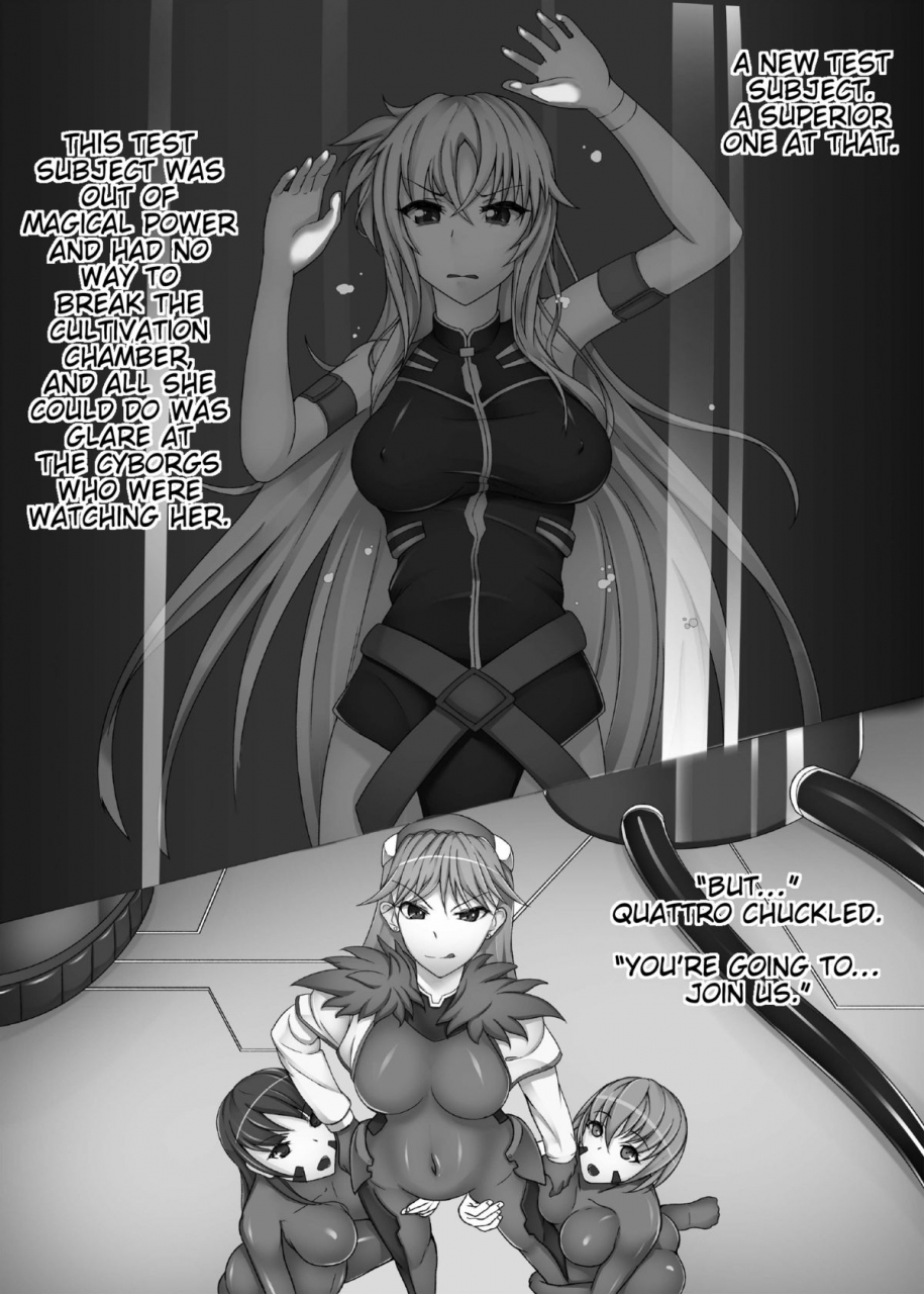 daraku-jiko-chousa-iinkai-sch-mit-daraku-shitsumukan-corrupted-officer-mahou-shoujo-lyrical-nanoha-english-trinity-translations-team-digital