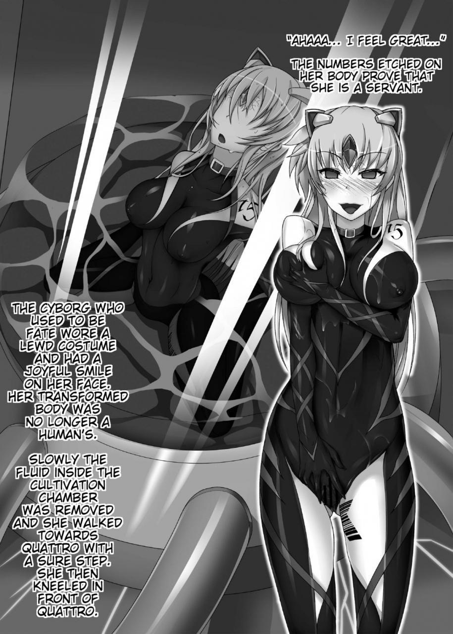 daraku-jiko-chousa-iinkai-sch-mit-daraku-shitsumukan-corrupted-officer-mahou-shoujo-lyrical-nanoha-english-trinity-translations-team-digital