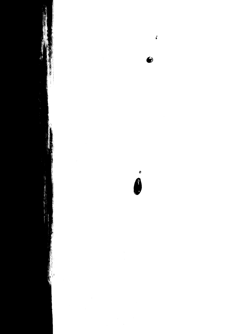 devil-may-cry-devils-confession