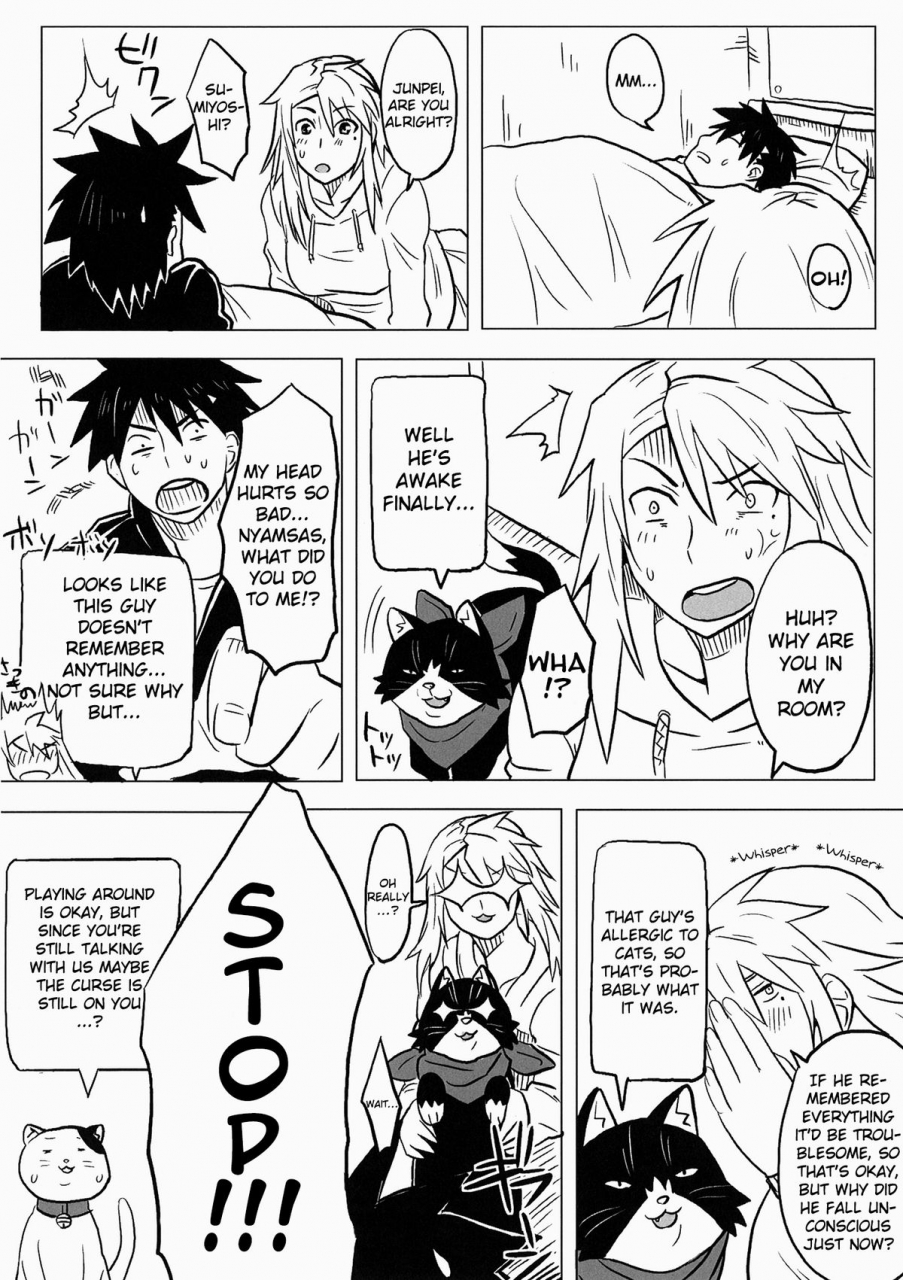 doragonia-toryuu-kanakoi-nyan-koi-english