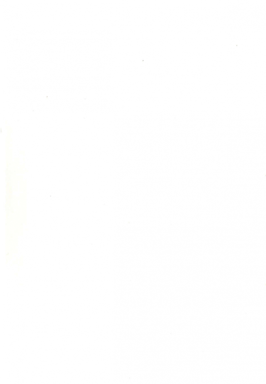 eb110ss-ranbou-sinasai-english-biribiri