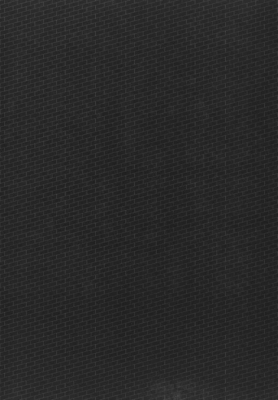 fs-horyo-no-okite-the-law-of-the-prisoner-english-doujin-moeus