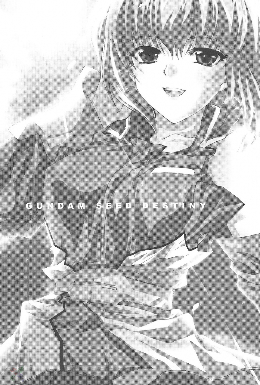 fantasy-wind-l-s-kidou-senshi-gundam-seed-destiny-english
