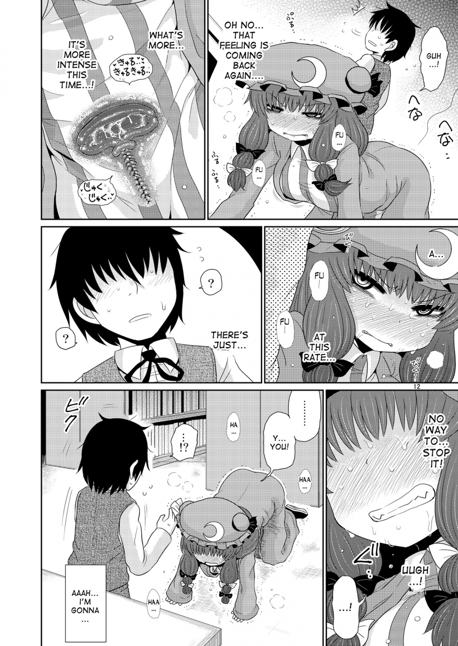 fugudoku-katou-fuguo-suru-dake-juu-touhou-project-english-desudesu-digital