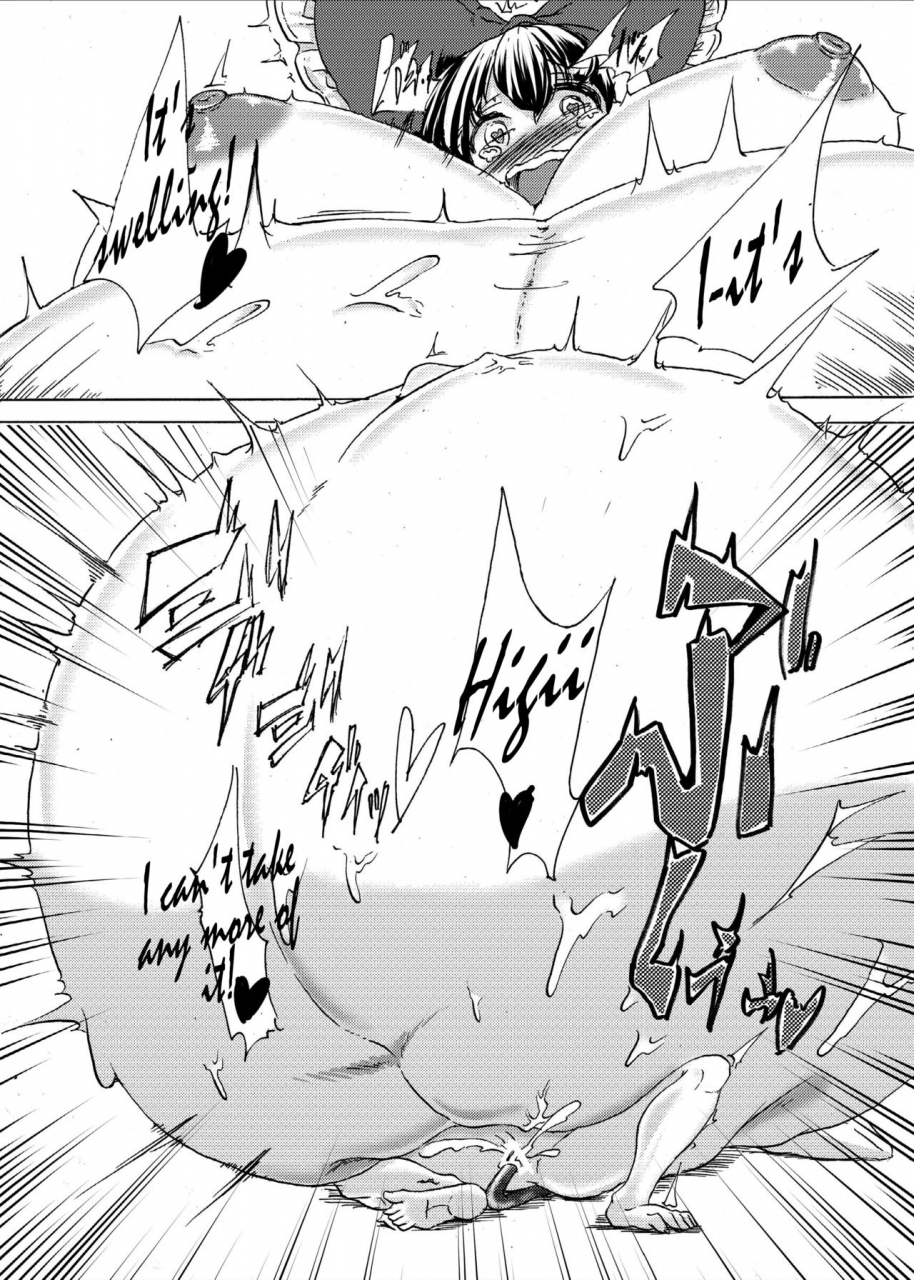 fujiiro-bomber-kyouka-inflater-reimu-touhou-project-english-digital