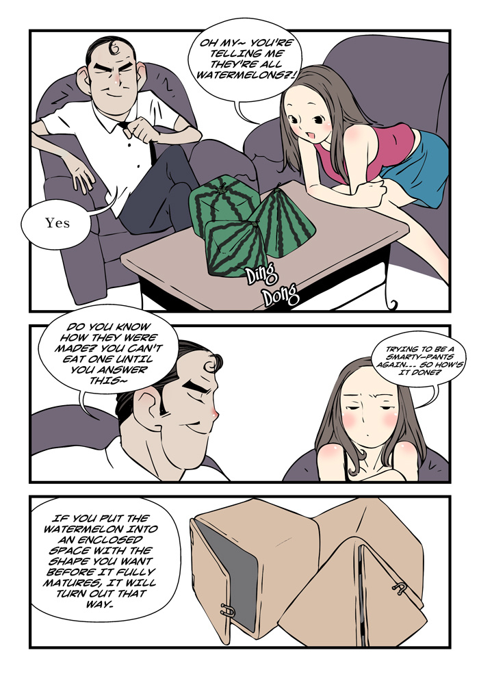 dogado-homo-sexience-ongoing