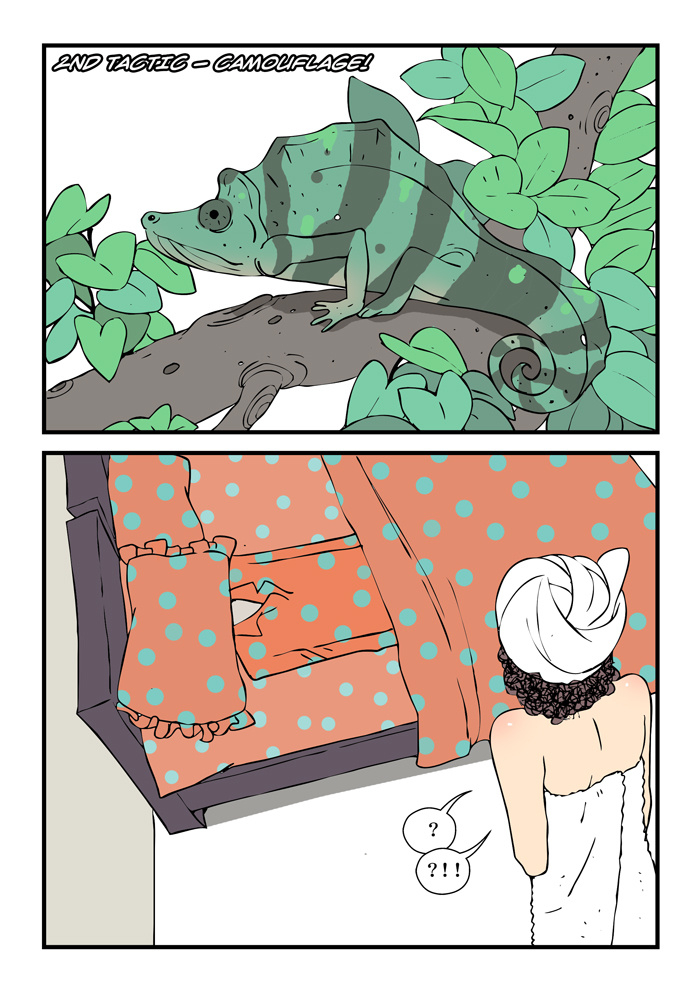 dogado-homo-sexience-ongoing