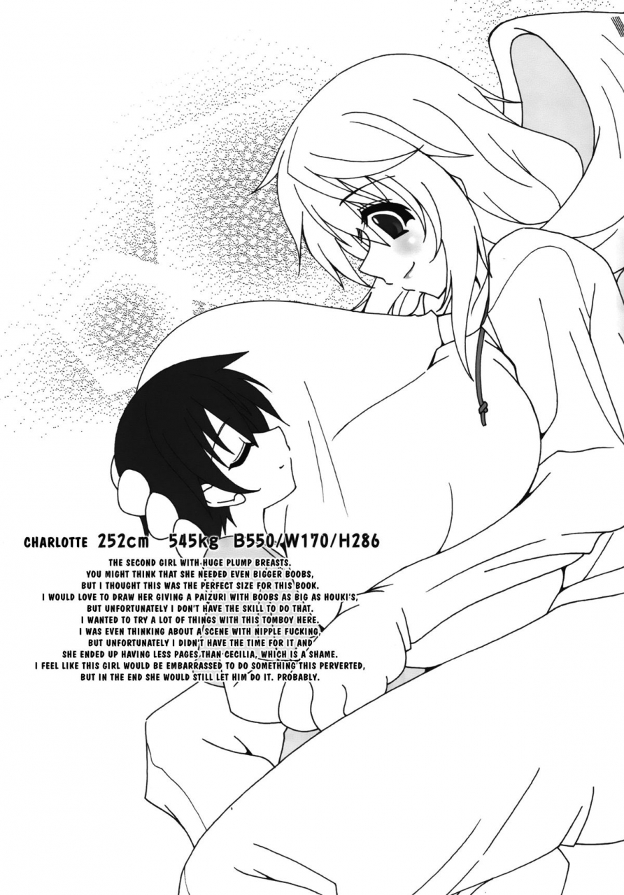 elflite-agata-akira-hugegirls-world-is-infinite-stratos-english