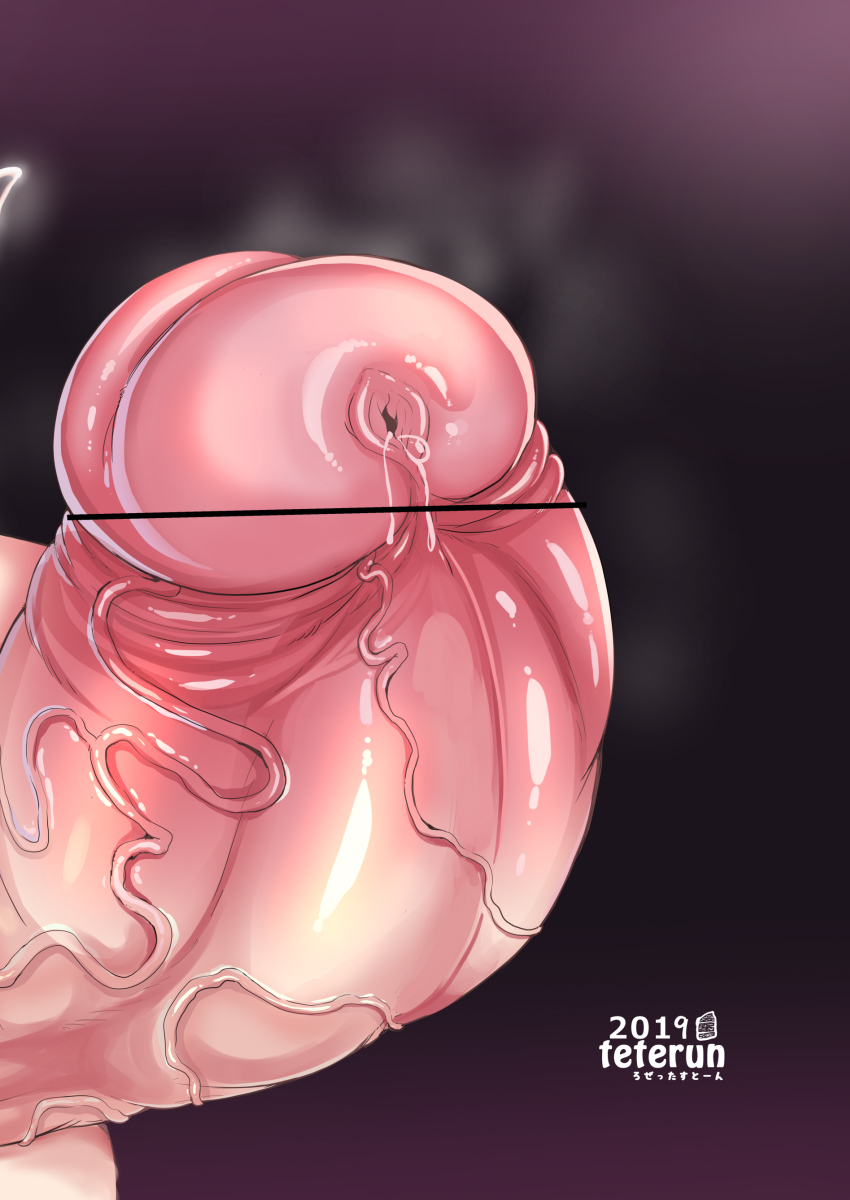 rosetta-stone-teterun-tamatsuki-futa-ga-yarareru-hon-4-digital