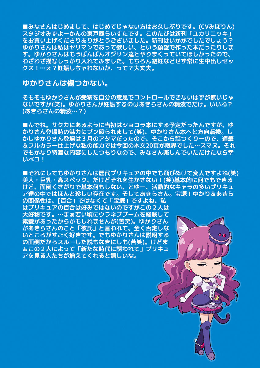 studio-mizuyokan-higashitotsuka-raisuta-yukari-nikki-kirakira-precure-a-la-mode-digital