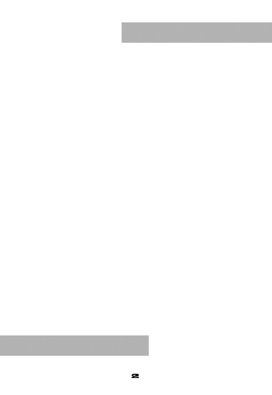 studio-tapa-tapa-sengoku-kun-zimmad-to-timbuktu-no-aida-between-zimmad-and-timbuktu-gundam-build-fighters-try