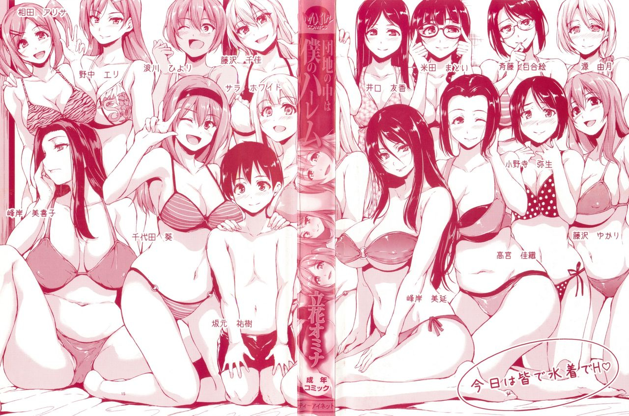 tachibana-omina-danchi-no-naka-wa-boku-no-harem-chinese