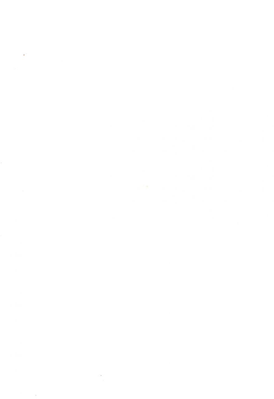 c52-nekofly-set-meal-nekofly-toy-box