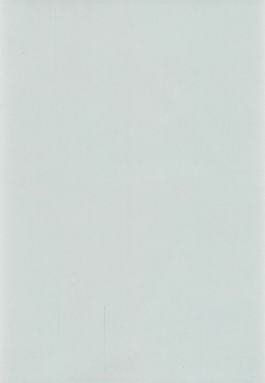 c52-nekofly-set-meal-nekofly-toy-box