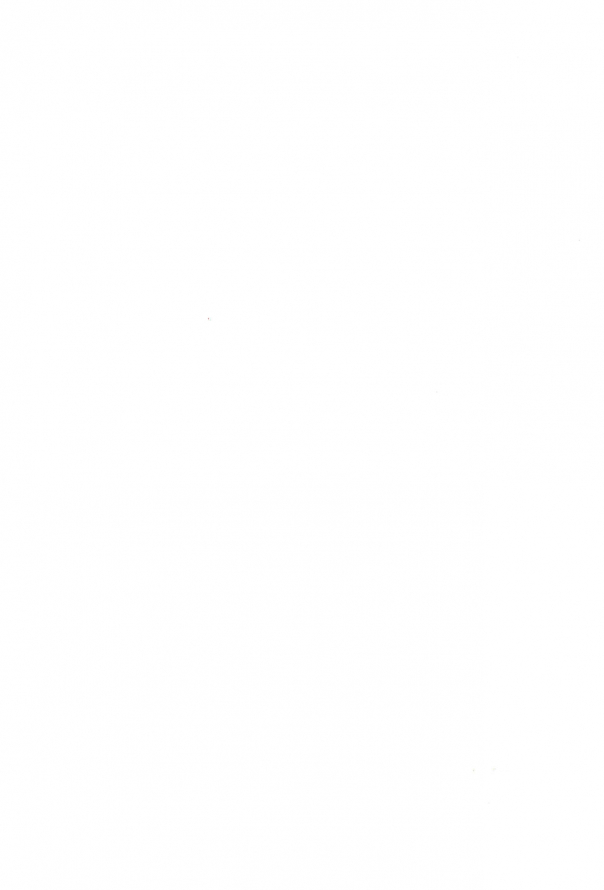 c52-nekofly-set-meal-nekofly-toy-box