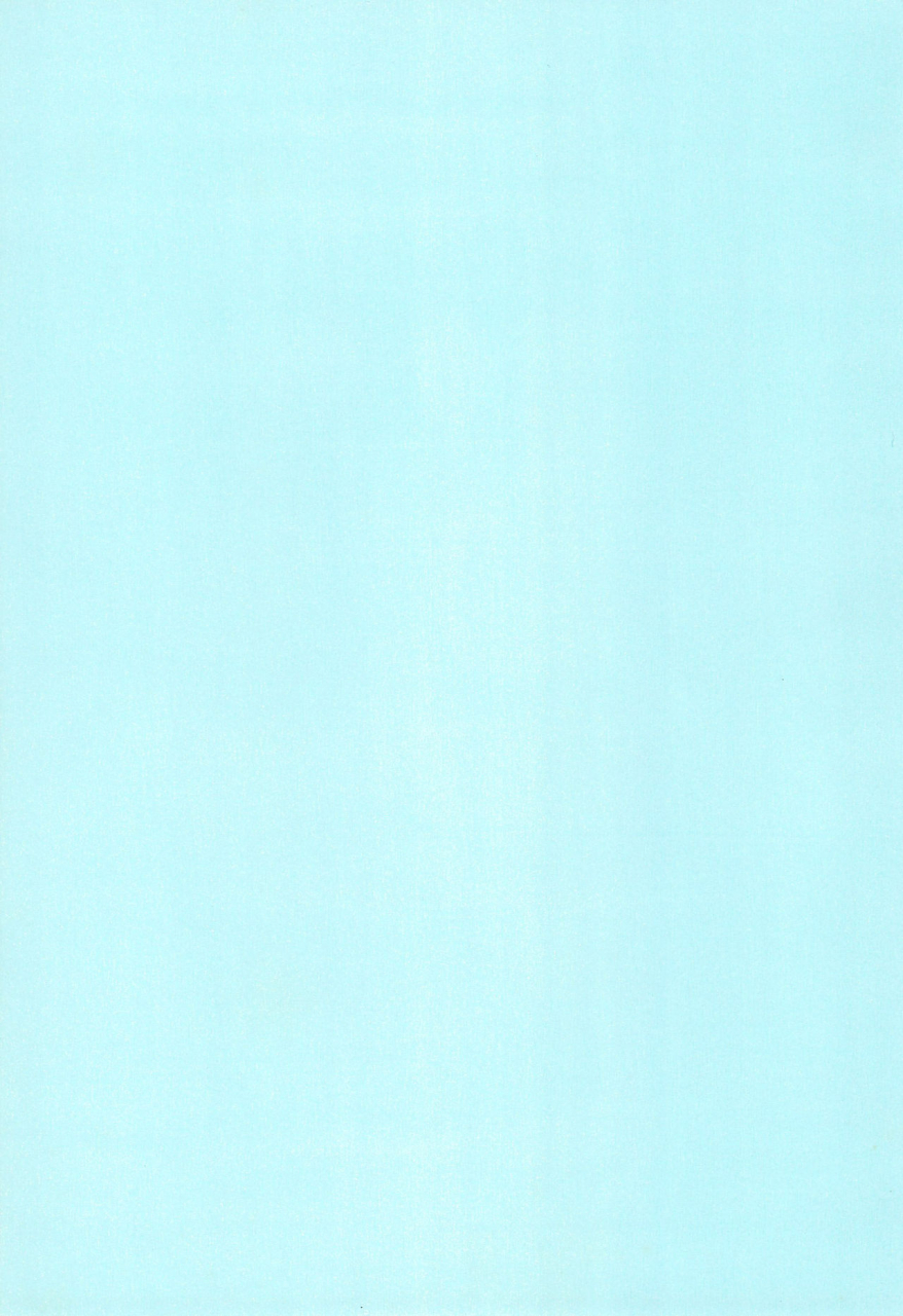 c63-love-bird-kozakura-botan-if-ojamajo-doremi