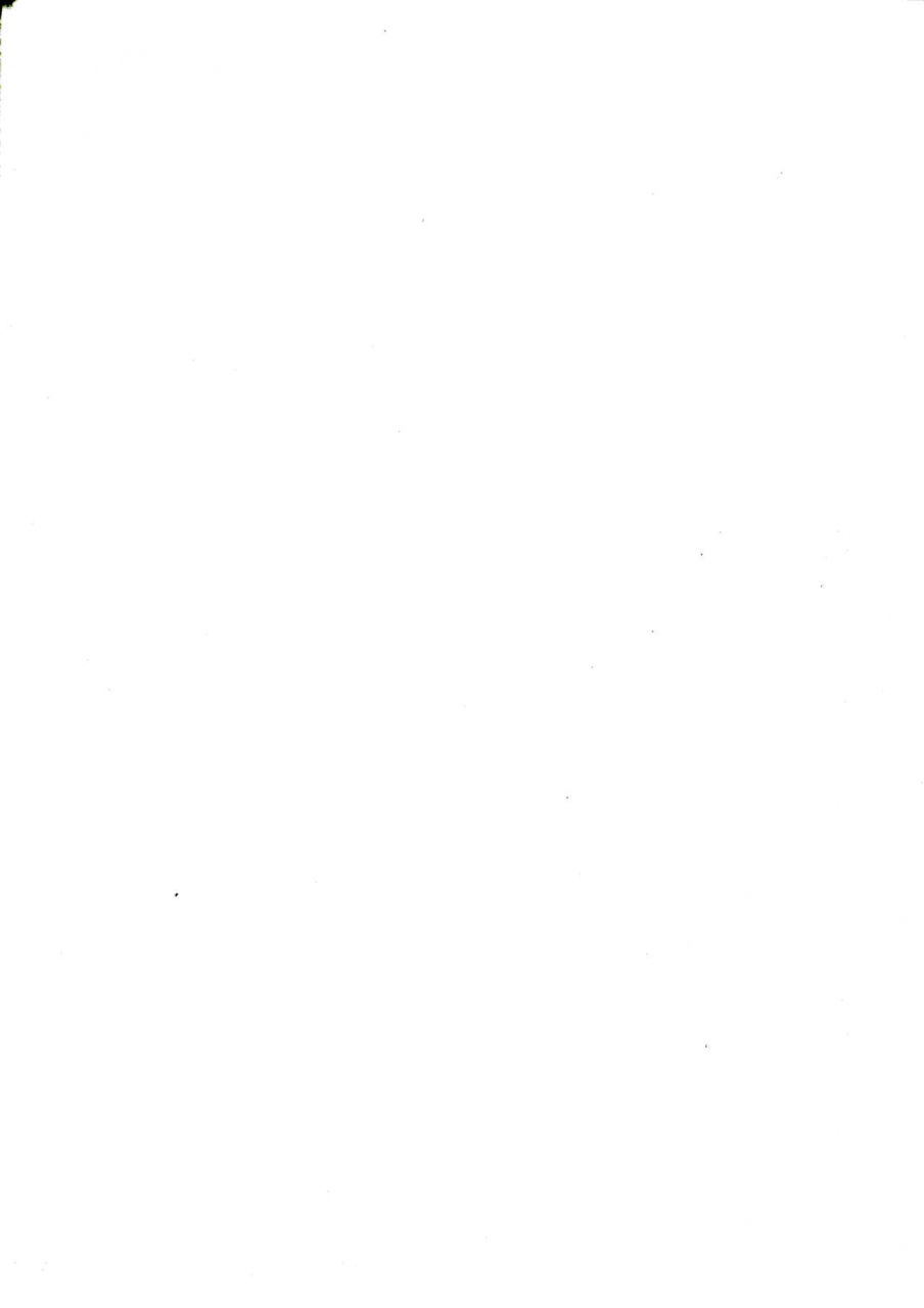 c97-fwzholic-fan-alter-chan-saimin-bounyuu-quest-shienchuu-fategrand-order