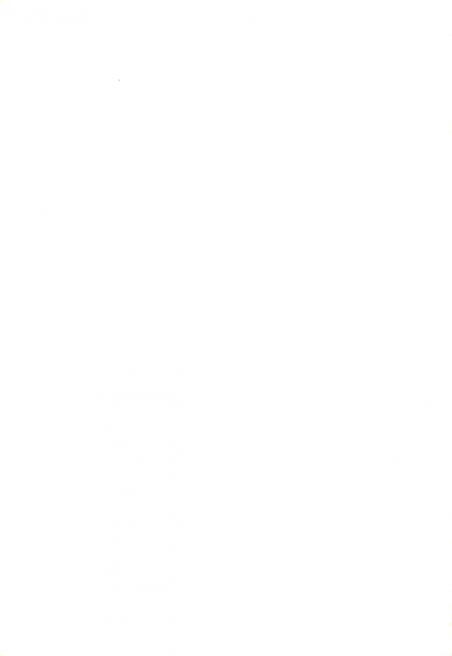 comic14-kaishundou-honpo-kaishundou-himitsu-no-nanoha-mahou-shoujo-lyrical-nanoha