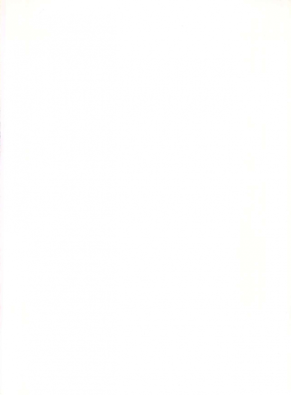 c39-pussy-cat-oono-tetsuya-pussy-cat-special-soreike-nadia-fushigi-no-umi-no-nadia-gundam