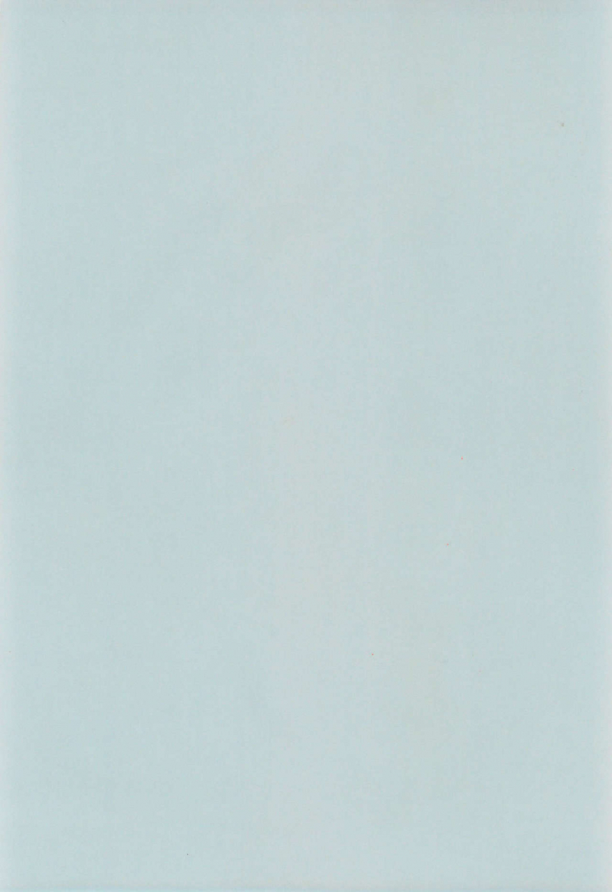 c52-nekofly-set-meal-nekofly-toy-box