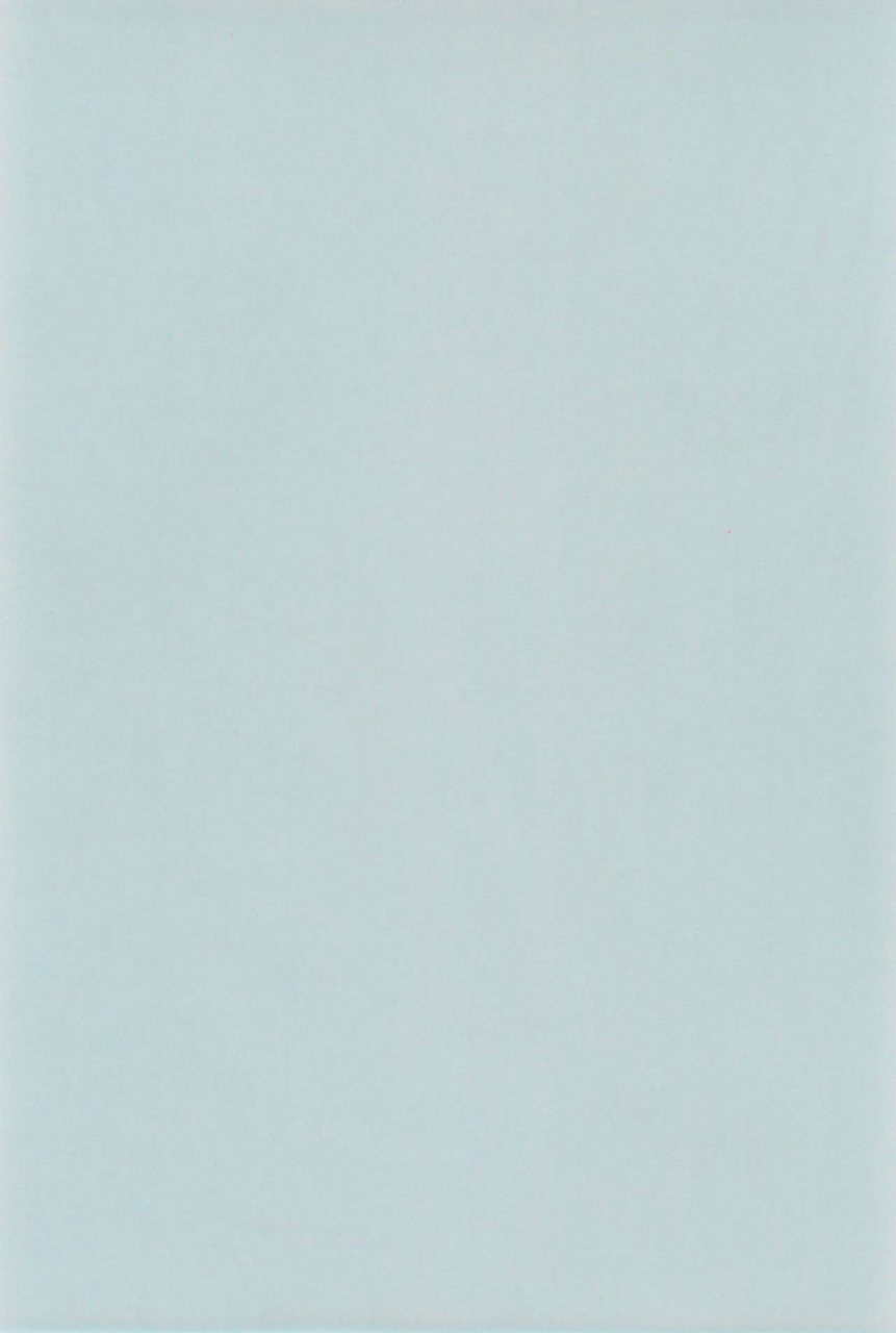 c52-nekofly-set-meal-nekofly-toy-box