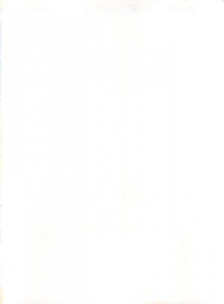 c55-alps-ohio-shuu-riki-look-back-5-ghost-sweeper-mikami