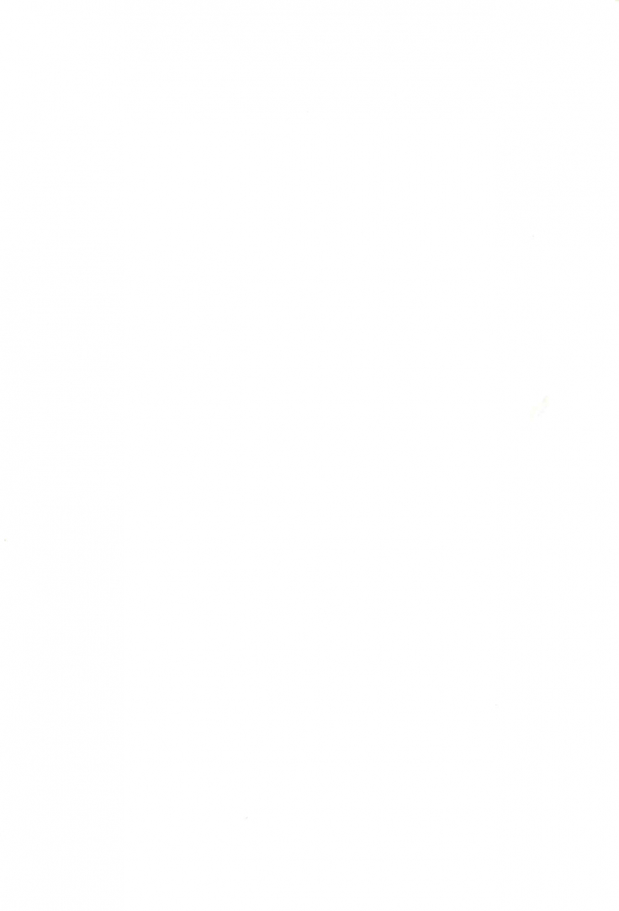 c60-elegant-violence-yamamura-yamako-analog-communication-digimon-tamers