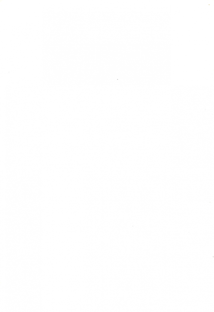 c60-elegant-violence-yamamura-yamako-analog-communication-digimon-tamers