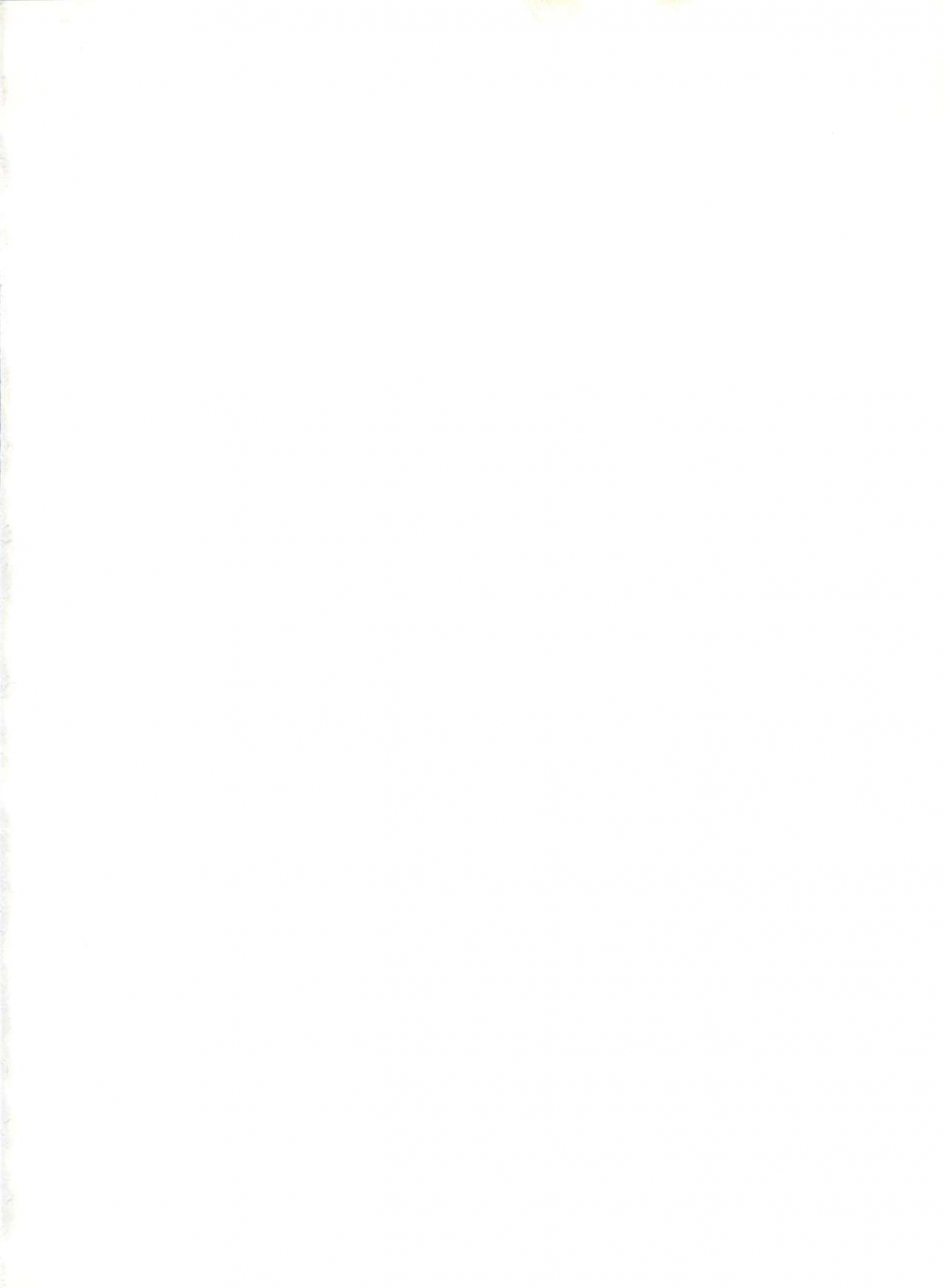 c63-chuuka-mantou-yagami-dai-mantou-22-slayers