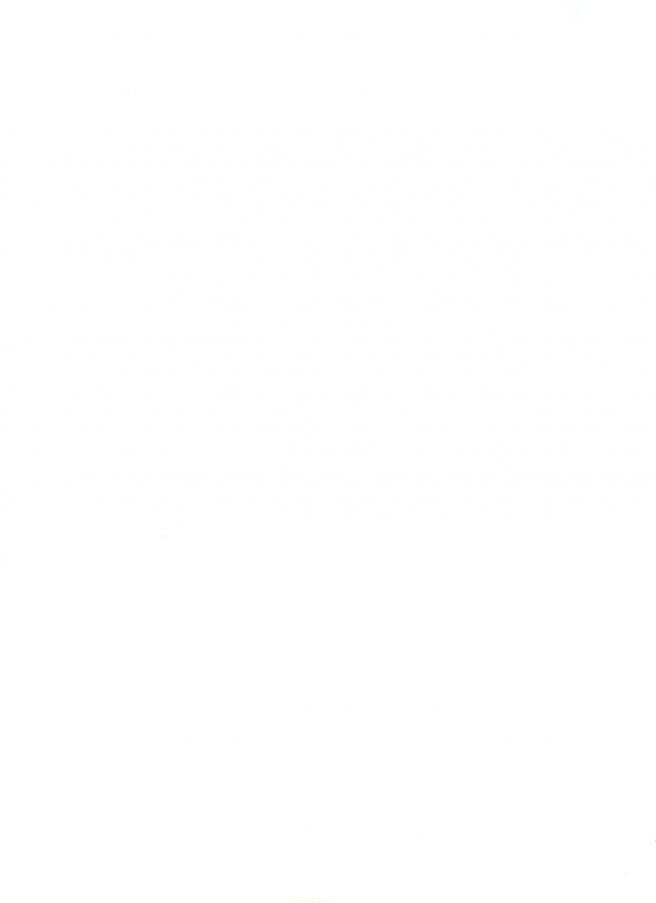 c63-chuuka-mantou-yagami-dai-mantou-22-slayers