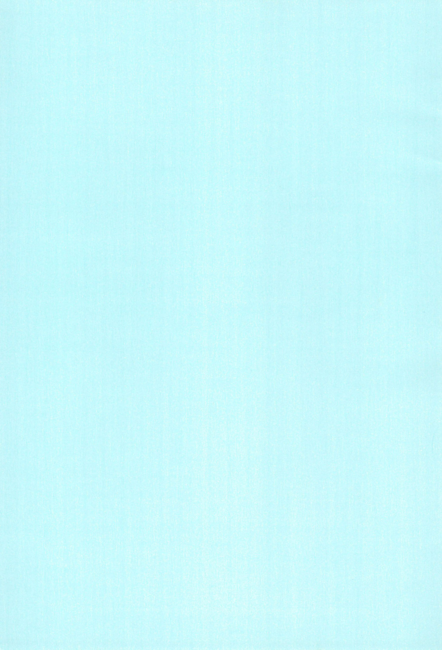 c63-love-bird-kozakura-botan-if-ojamajo-doremi