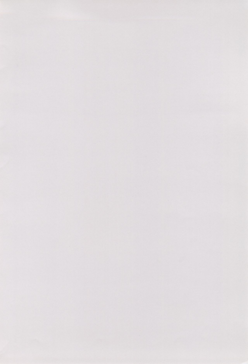 c65-solex-raijin-maru-toku-rurimix-sp-martian-successor-nadesico