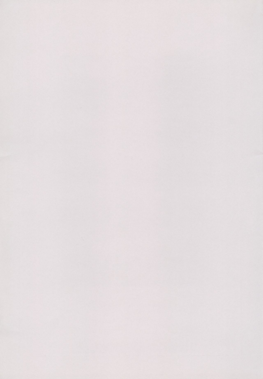 c65-solex-raijin-maru-toku-rurimix-sp-martian-successor-nadesico