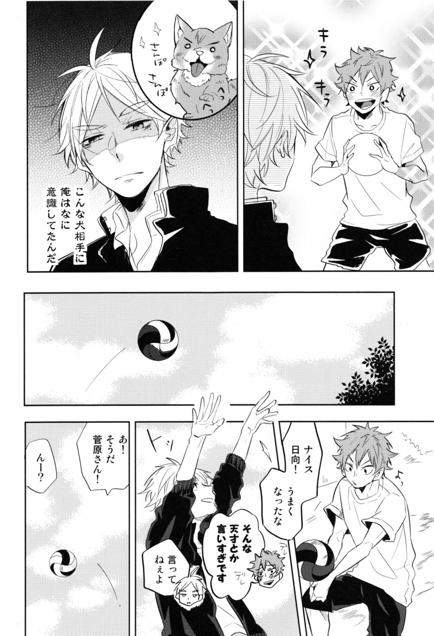 c91-catsnake-75-sugawara-senpai-shitsumon-desu-haikyuu