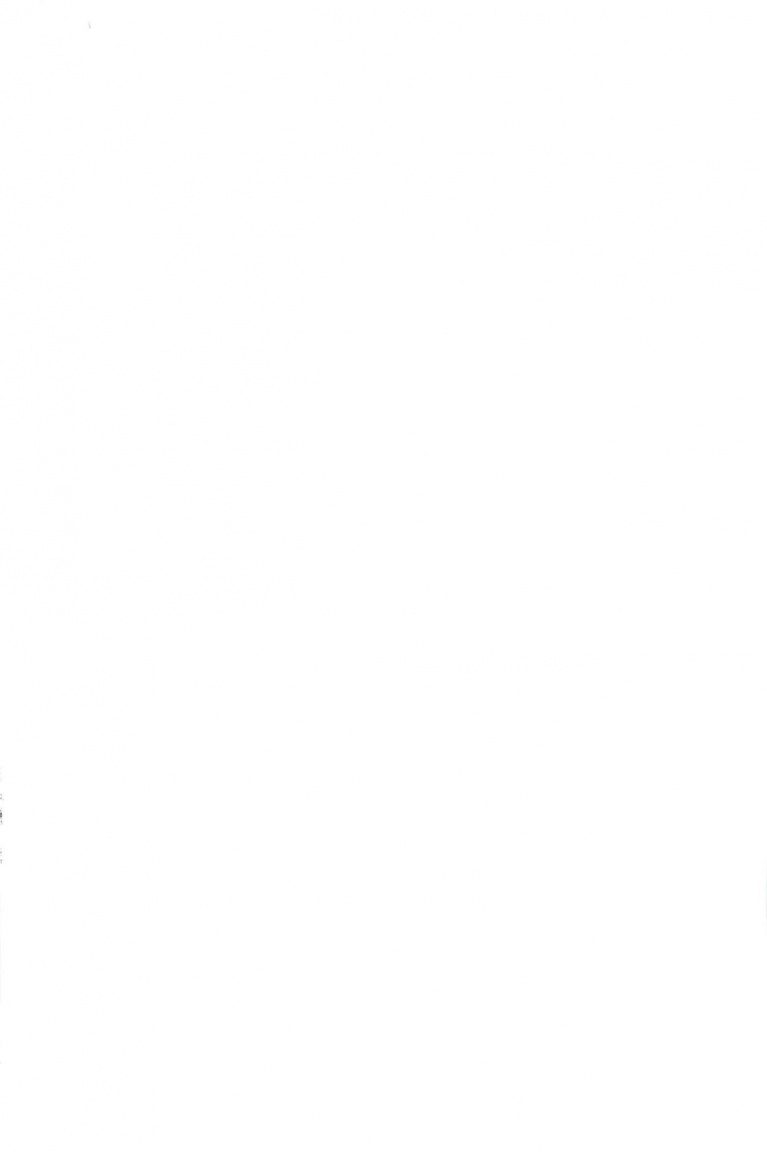 c96-inoridou-inori-confined-hana-xenoblade-chronicles-2