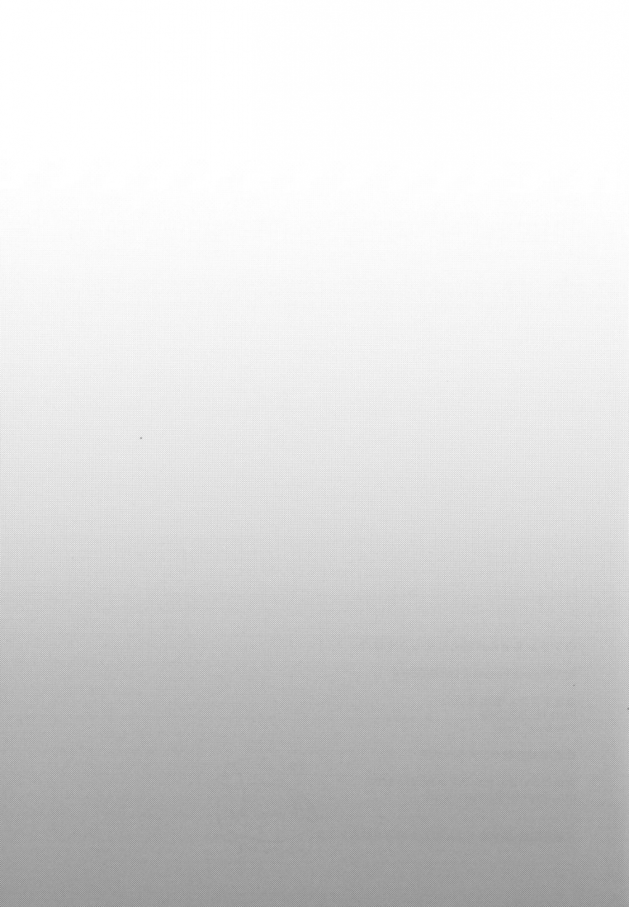 c96-kingyo-origin-kayama-rim-flan-chan-ni-okoshite-morau-hon-touhou-project