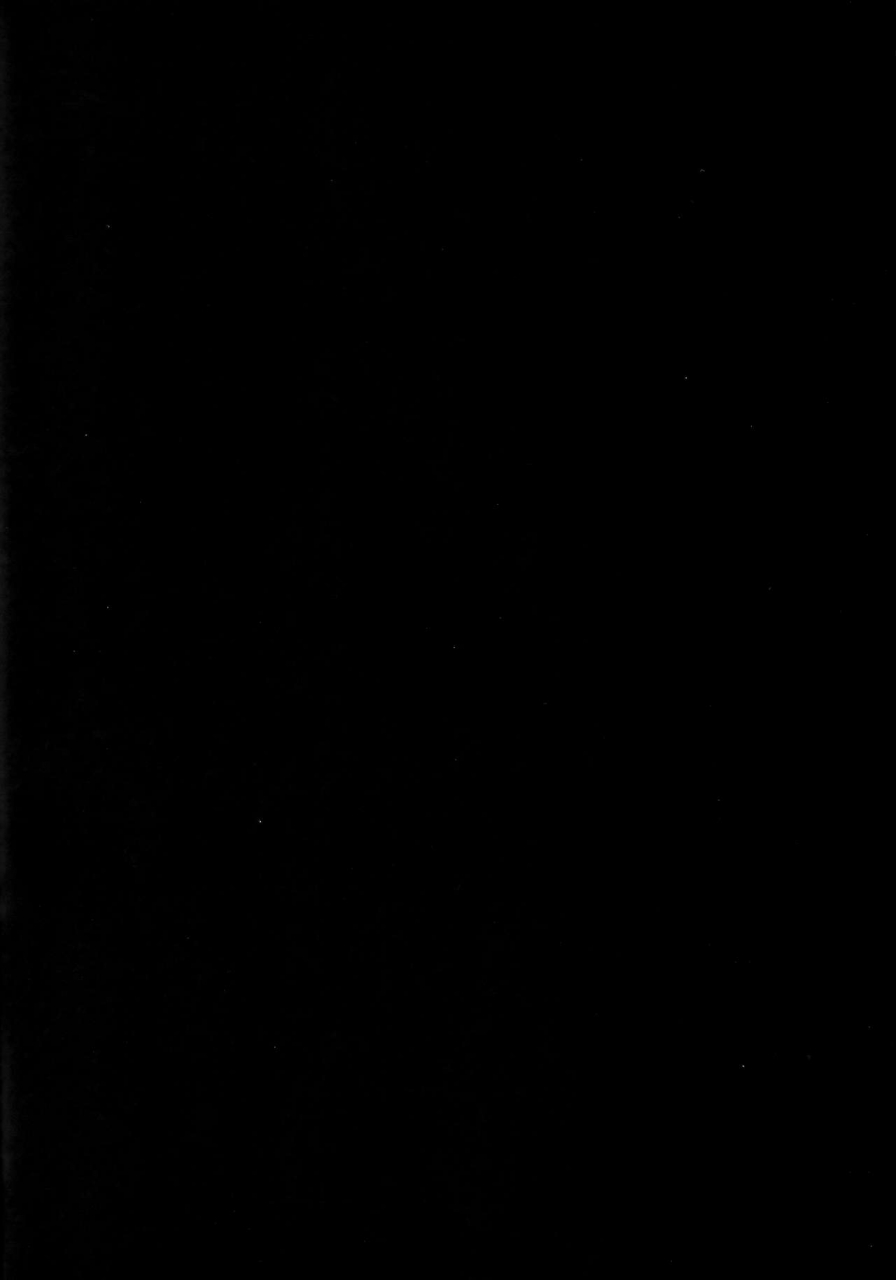 c96-tanden-shuzou-nana-shinshi-haha-oni-kantsuu-fategrand-order