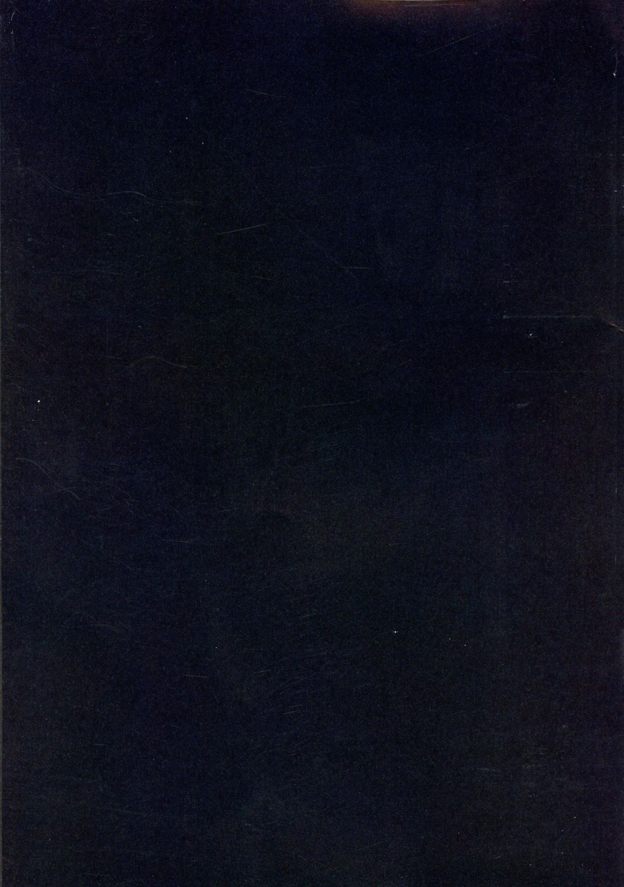 c97-catjellyfish-vanadium-kairi-fategrand-order