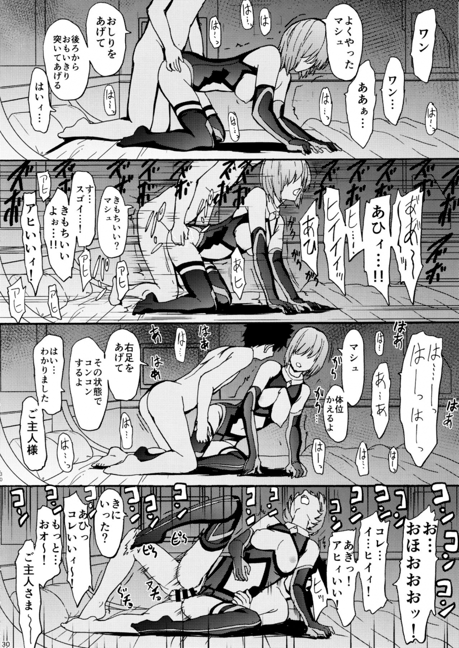 c97-dairiseki-hakaba-aijoku-aijoku-mash-aijoku-fategrand-order