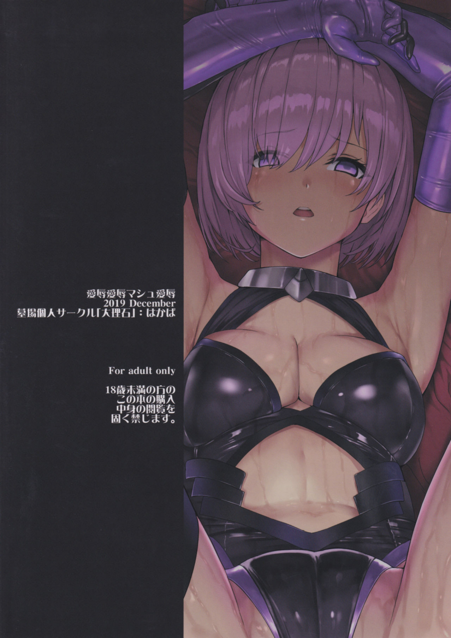 c97-dairiseki-hakaba-aijoku-aijoku-mash-aijoku-fategrand-order