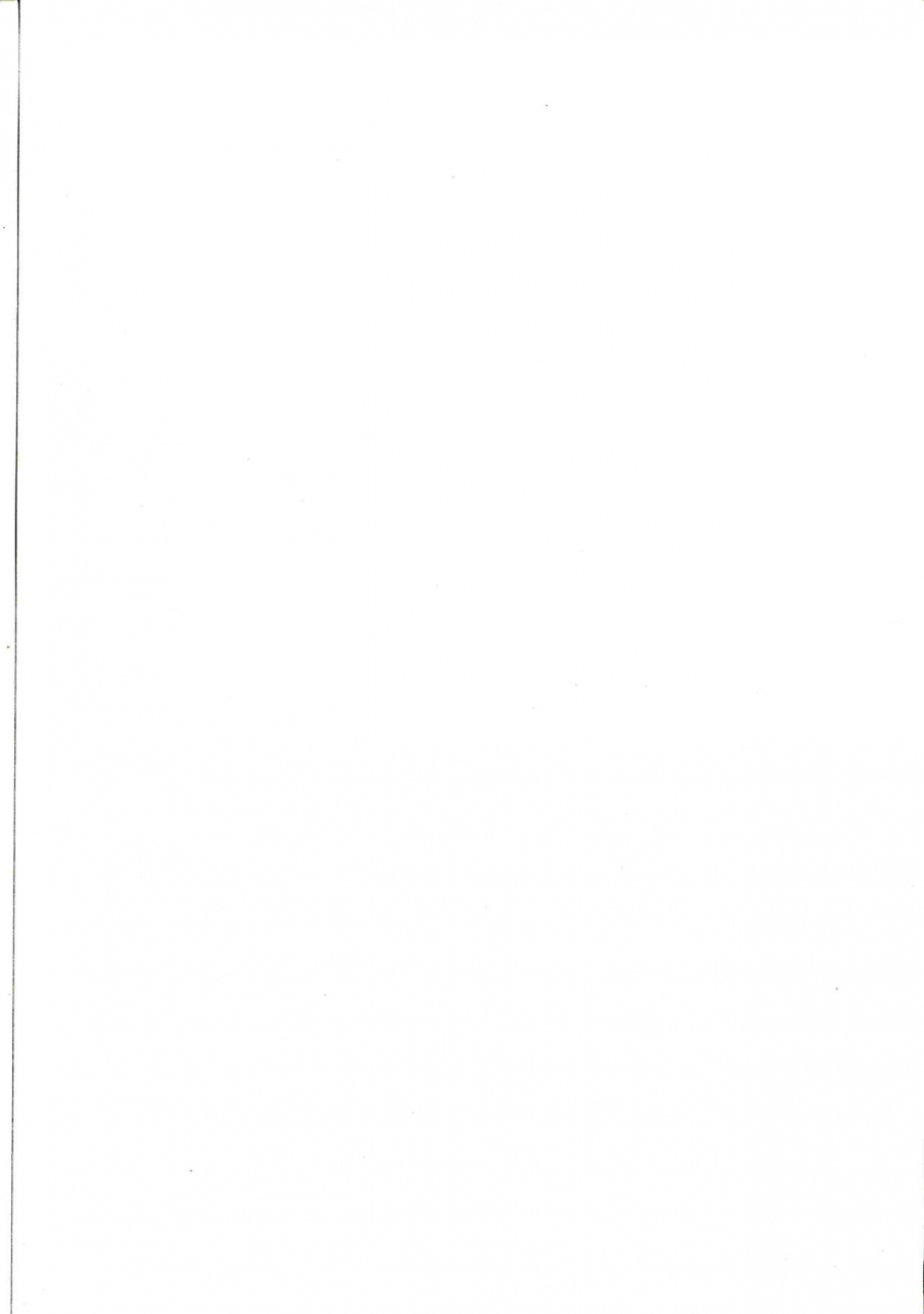 c97-fwzholic-fan-alter-chan-saimin-bounyuu-quest-shienchuu-fategrand-order