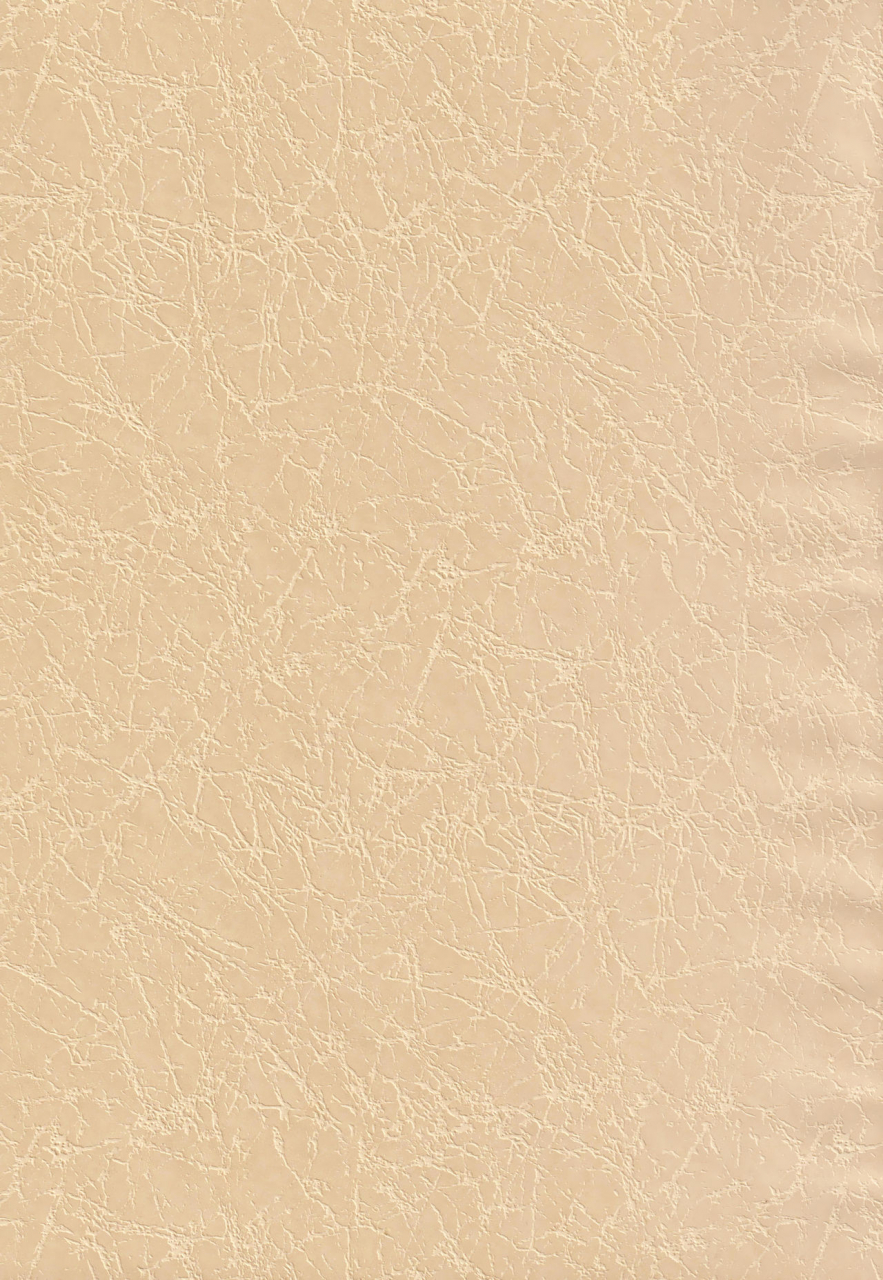 c97-nekomasshigura-uzukinoko-closed-vacation-blazblue