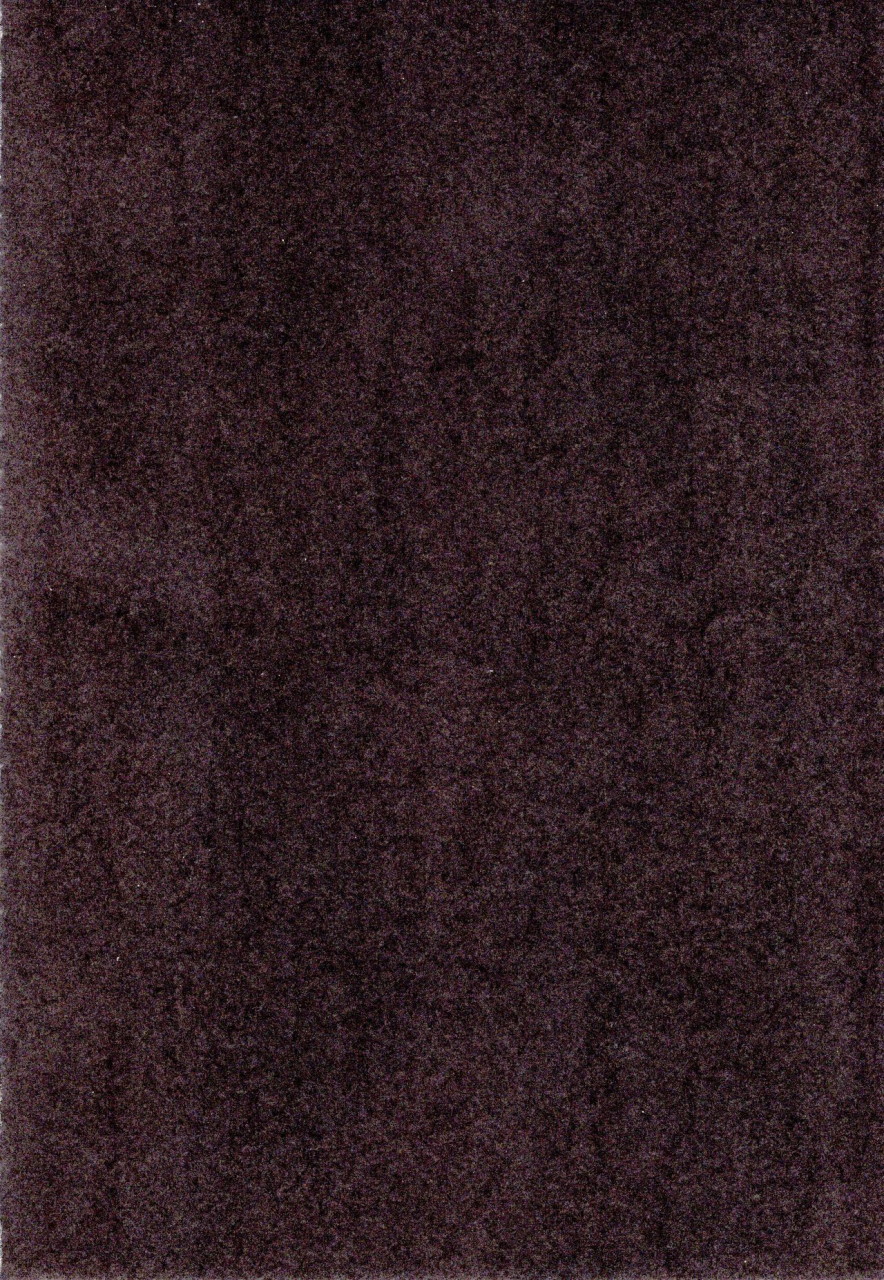 c97-rinjuu-circus-haguhagu-kinrou-shourei-gohoushi-js-chiiki-kouryuu-seido