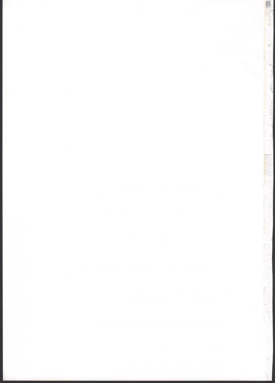 c97-shis-z-ton-marnie-wa-vanilla-de-koushuunyuu-pokemon-sword-and-shield